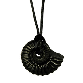 Hand-Carved Coal Nautilus-Seashell Pendant - Black