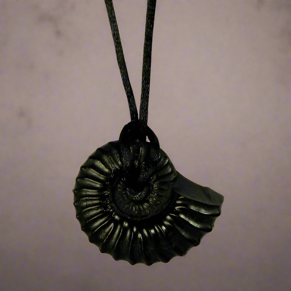 Hand-Carved Coal Nautilus Seashell Pendant