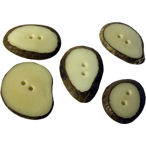 Large Hand-Dyed Tagua Nut Buttons-Lots of 5-10-15-20 - Vegetable Ivory