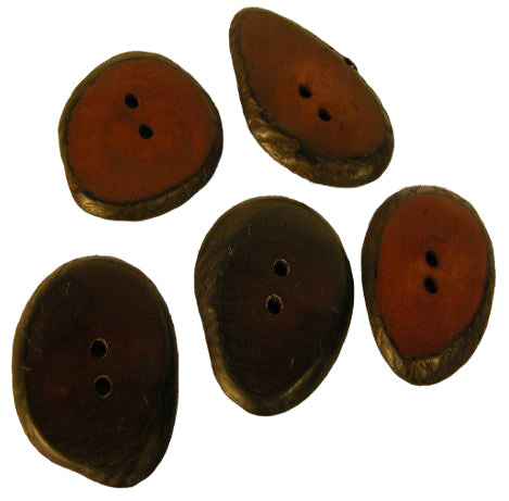 Large Hand-Dyed Tagua Nut Buttons-Lots of 5-10-15-20 - Vegetable Ivory