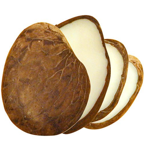 5PC-Natural White Tagua-Thin Nut Slices-4mm Thick- Jewelry Making- Carving-Vegetable Ivory