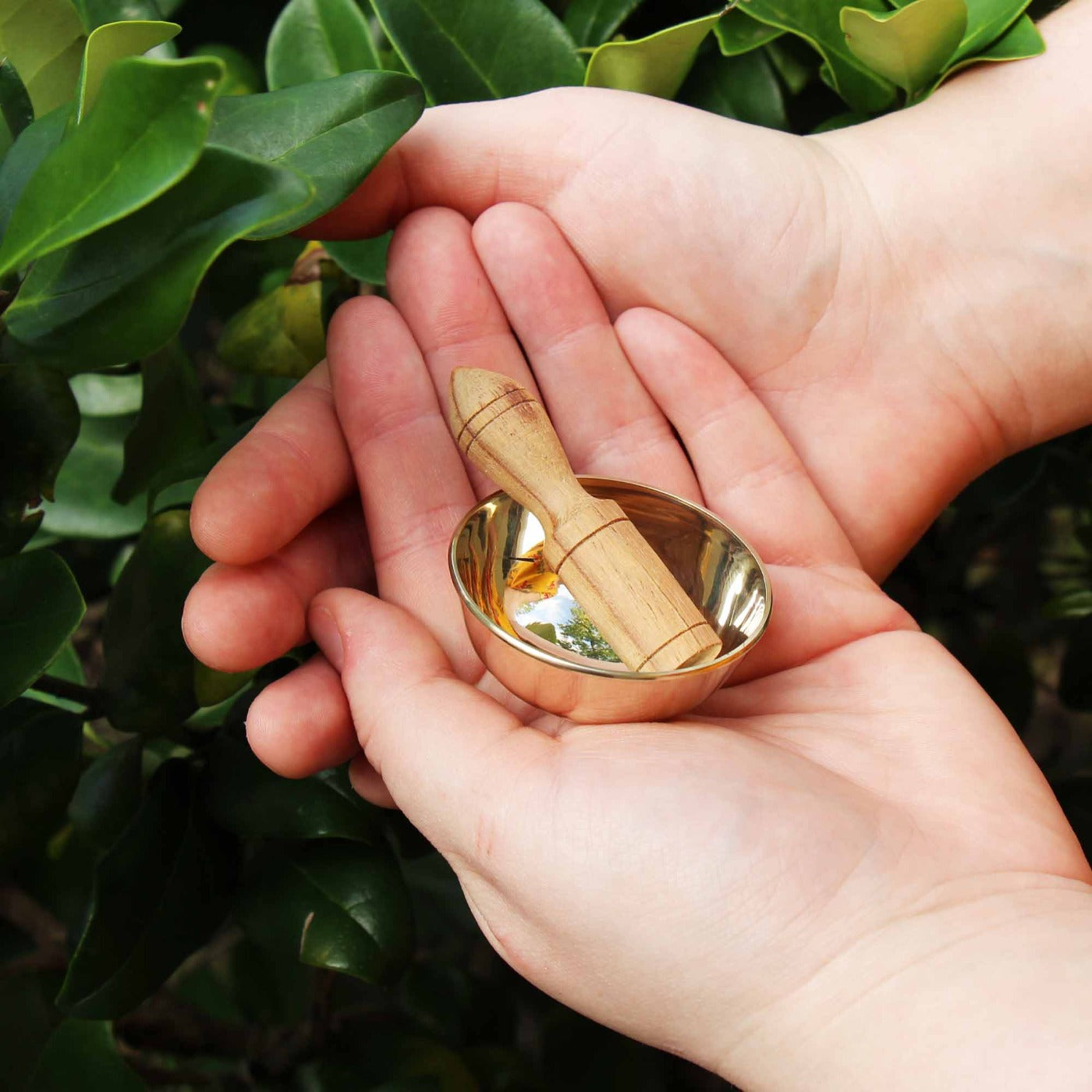 Mini Meditation Bowl in Handmade Lotka Paper Tree of Life Box