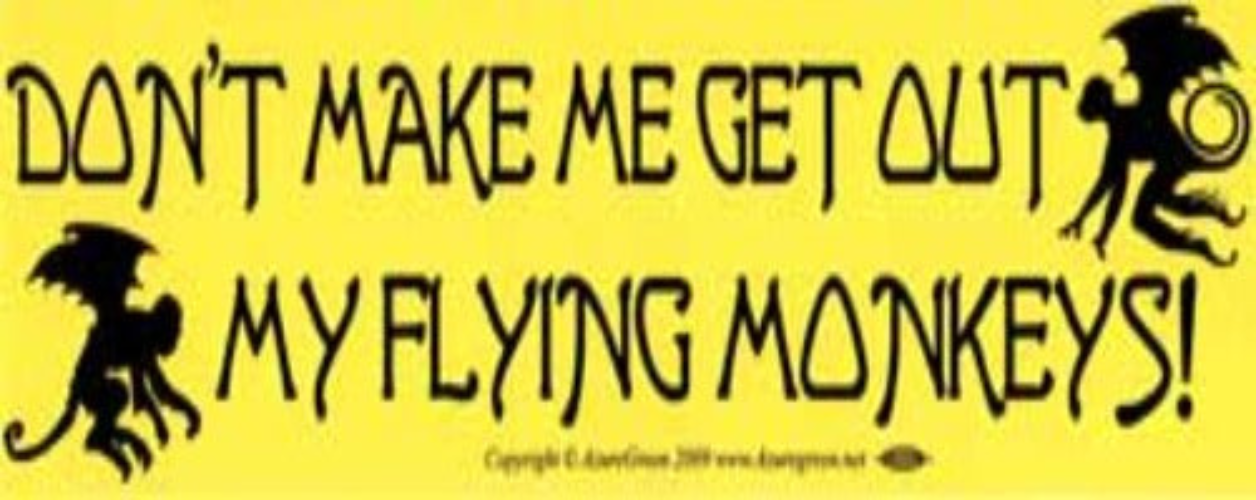 Don't Make Me Get Out My Flying Monkeys Bumper Sticker