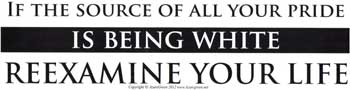 Statement Bumper Sticker- If The Source Of All Your Pride Is Being White Reexamine Your Life.