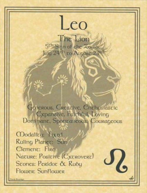 Zodiac Parchment Print- Leo- 5th Sign Of The Zodiac 8 1/2" X 11"