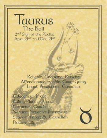 Zodiac Parchment Print- Taurus - The 2nd Sign Of The Zodiac 8 1/2" X 11"