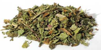 Dandelion Leaf Cut- 1lb.- (Wild Endive)