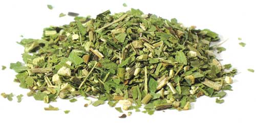 1 lb Echinacea Purpurea Leaf Cut (Echinacea)