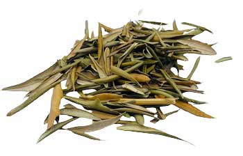 Olive Leaf- Dried Whole Leaf - 1lb