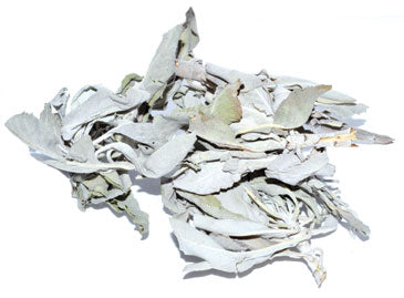 1 Lb White Sage-Dried Leaf