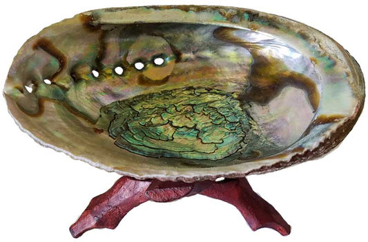 5"-6" Abalone Shell Incense Burner With Stand