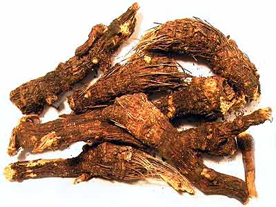 1lb. Osha Root Whole - Root cut Ligusticum Porteri