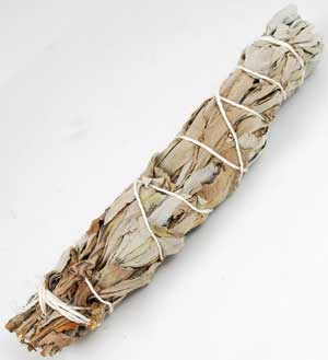 White Sage Smudge Stick 5"-6"