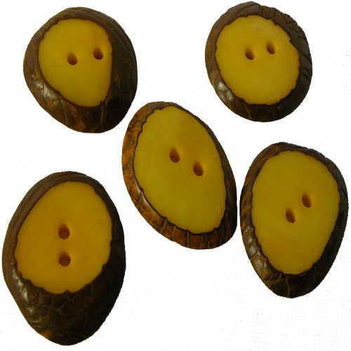 Hand-Dyed Tagua Nut Buttons-Large-1Pc