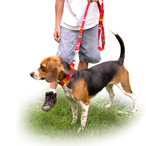 <center>Handwoven Cotton Dog Leashes </br>Crafted by Artisans in Guatemala </br>Measure 1” wide with a 48” length</center>