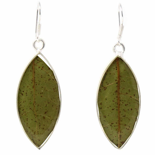 Natural Leaf in Resin -Alpaca Silver Earrings- Mexico